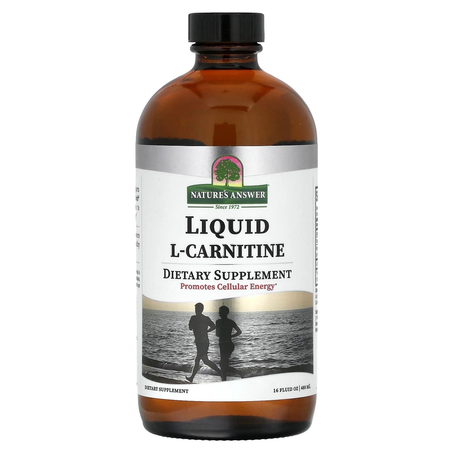 Nature's Answer
Liquid L-Carnitine, 16 fl oz (480 ml)