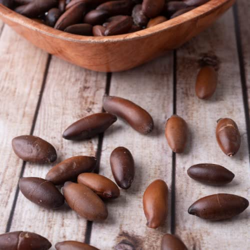 Natural Traditions Roasted Baru Seeds, Baru Nuts - 5.3oz Resealable Bag - 100% Nut Free