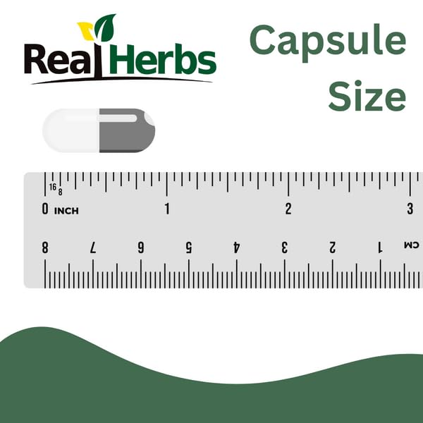 Real Herbs Stinging Nettle Root Extract 7500mg (750mg of 10:1 Extract) – Vegetarian Friendly, Non-GMO, Gluten-Free – Supports Prostate & Urinary Health – 100 Capsules
