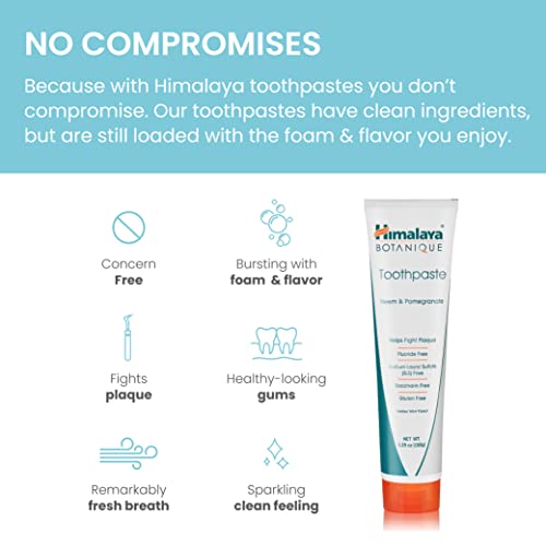 Himalaya Herbal Healthcare Neem and Pomegranate Fluoride-Free Natural Toothpaste, SLS-Free, 5.29 Oz/150 gm (4 PACK)