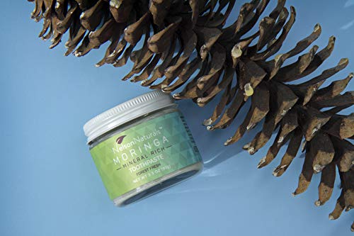 Moringa Mineral Rich Fluoride Free Toothpaste 93g