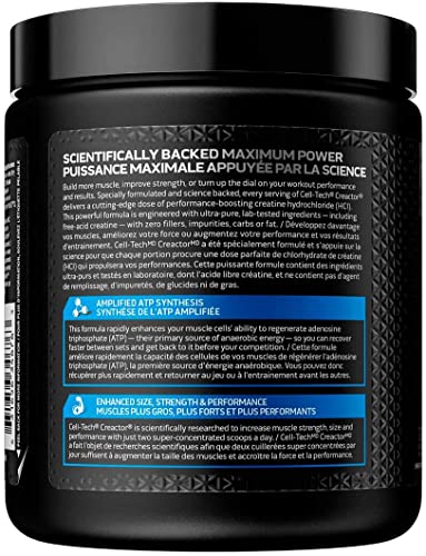 Muscletech Creatine Powder, Cell-Tech Creactor Creatine HCl, Post Workout Muscle Builder for Men and Women, Creatine HCl plus Free-Acid Creatine, Creatine Supplements, Icy Rocket Freeze (120 Servings), 256 g (Pack of 1)