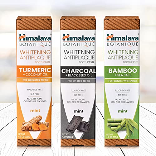 Himalaya Botanique Whitening Antiplaque Toothpaste with Charcoal + Black Seed Oil for Whiter Teeth, Mint Flavor, Fluoride Free, Vegan, Gluten Free & SLS Free, 113 g (4 oz)