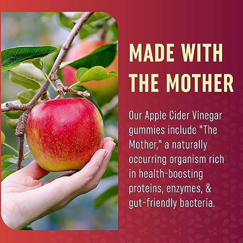 Organic Apple Cider Vinegar Gummies (60 Ct.) | Weight, Digestion, Detox, Immunity & Diet Support with ACV | With The Mother, Vitamin B6, B12 & Folate | Belly Fat Burner for Women & Men | Vegan, 500MG