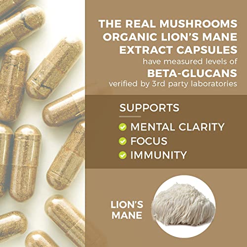 Lions Mane Brain and Focus Supplements (120ct) Mushroom Powder Extract Capsules - Non-GMO and Gluten-Free Supplement for Better Cognitive Health