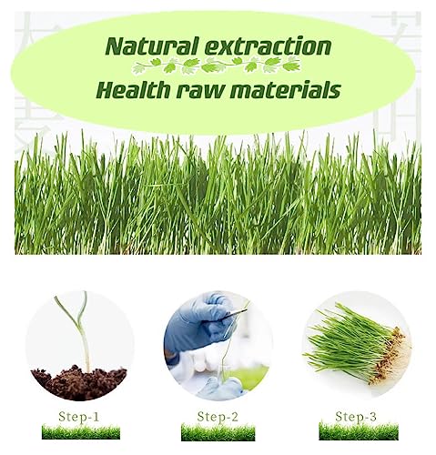 Naveta Barley Grass Powder 100% Pure & Organic, Organic Barley Grass Powder, Naveta Pure Organic Barley, Cleanse Body(1BOXES)