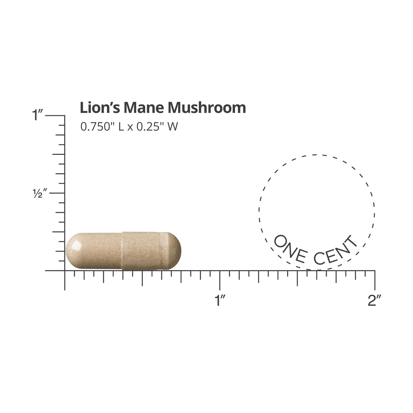 DOCTORS' PREFERRED Lions Mane Mushroom Supplement - 1,000 mg/Serving, 60 Vegan Capsules for Brain Health and Overall Daily Wellness. (30-Day Supply)