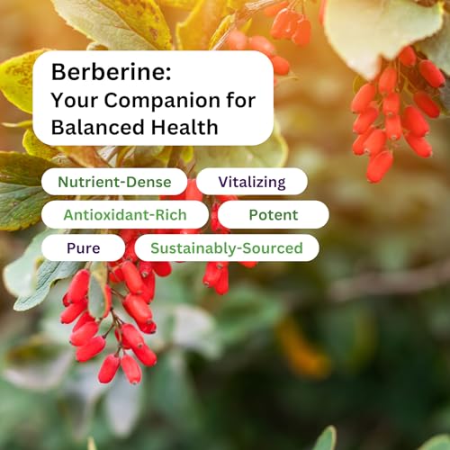 Paradise Herbs, Berberine Extract, 500 mg, Pure & Potent Berberine Supplement, Vegan, Non GMO, Gluten Free, 180