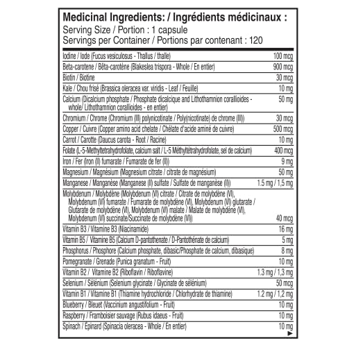 NATURELO One Daily Multivitamin for Women - Energy Support - Whole Food Supplement to Nourish Hair, Skin, Nails - Non-GMO - No Soy - Gluten Free - 120 Capsules | 4 Month Supply