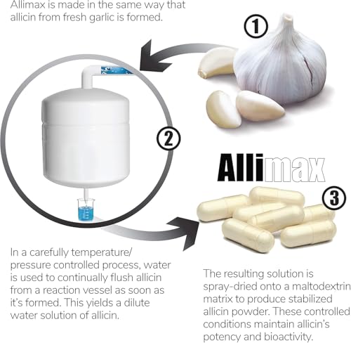 lekullna Allicin Garlic Supplement to Support Your Body’s Immune Function. with Stabilized Allicin Extracted from Clean & Sustainable Spanish Grown Garlic 450mg 100 Vegicaps
