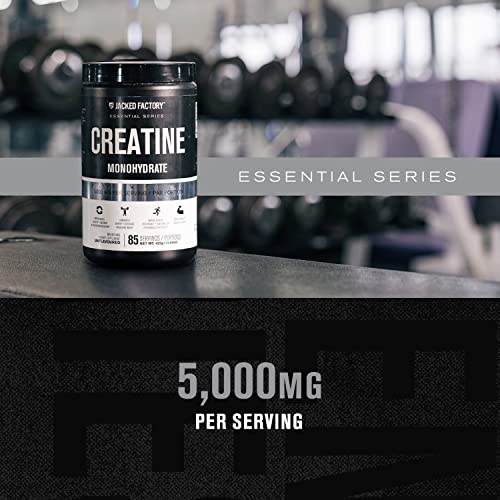 Pre-Order | Arrives in 5–10 Days – Creatine Monohydrate Powder 425g - Creatine Supplement for Muscle Growth, Increased Strength, Enhanced Energy Output and Improved Athletic Performance by Jacked Factory - 85 Servings, Unflavored