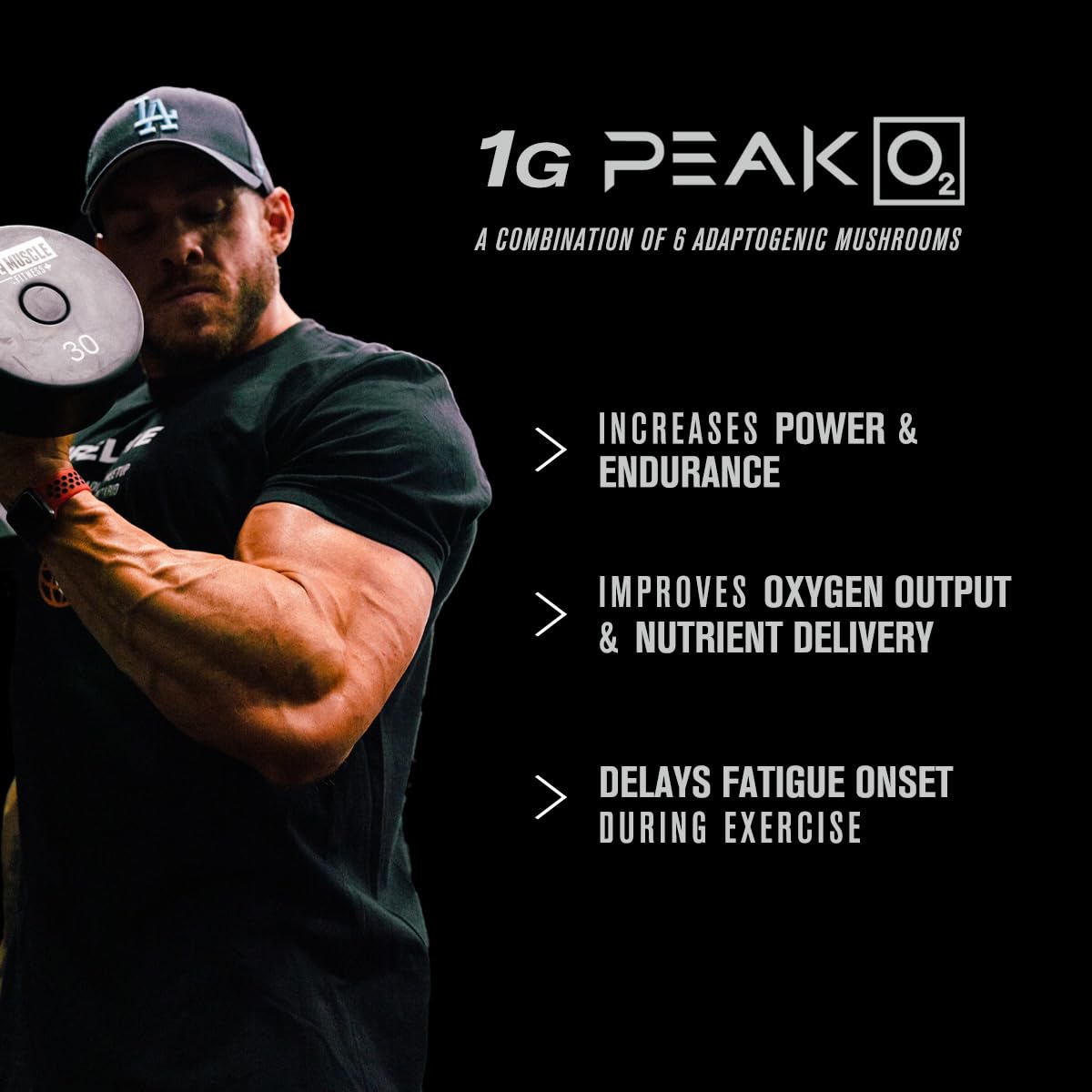 Jacked Factory PRIMASURGE Testosterone Booster for Men (60 Capsules) & Build-XT Daily Muscle Builder & Performance Enhancer | Muscle Building Supplements for Muscular Strength & Growth