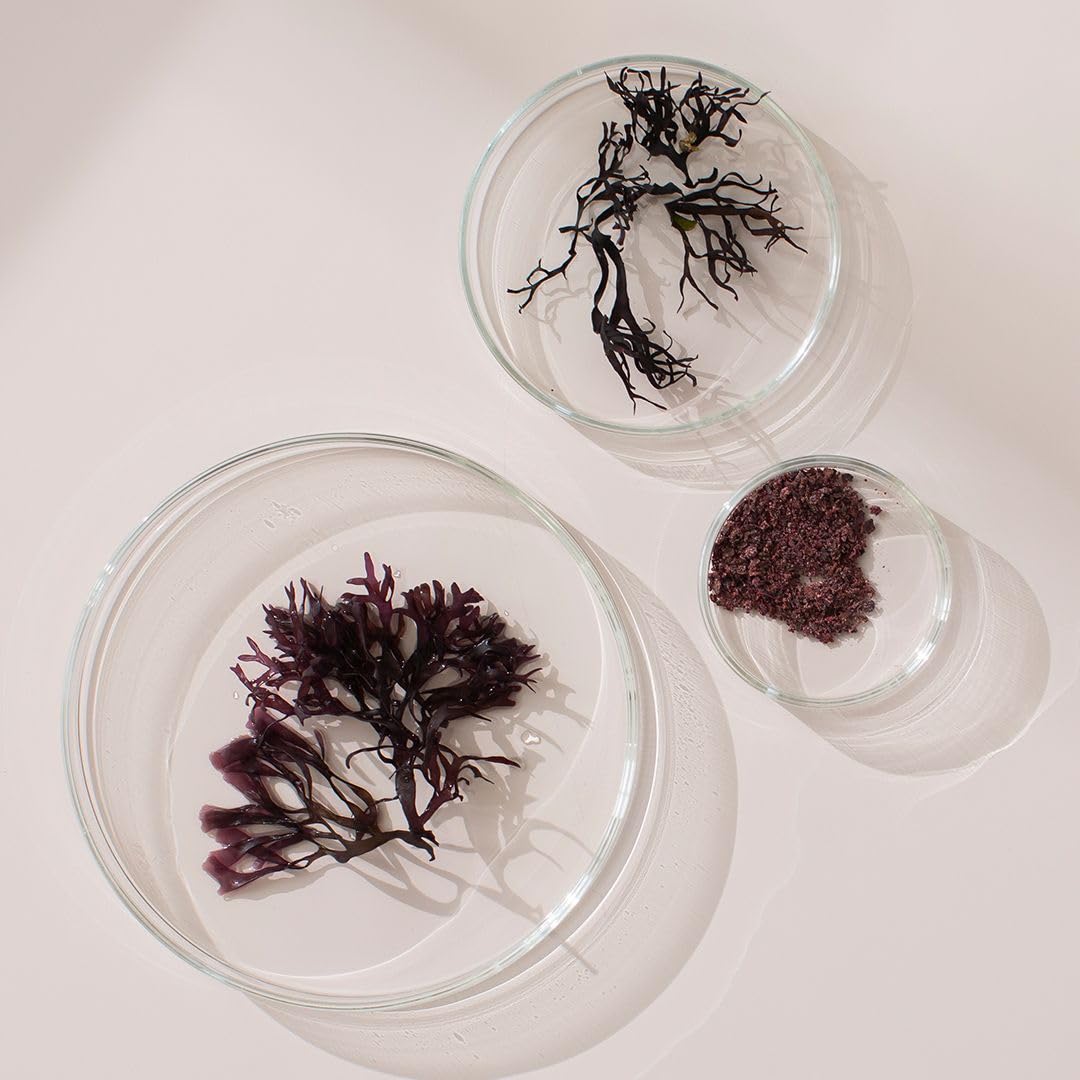 NEW NORDIC Irish Sea Moss Extract, Powerful Tri-Algae Complex with Pure Norwegian Kelp and Wakame Seaweed, Vegan & Gluten Free, Compressed Raw Powder, 30 Tablets