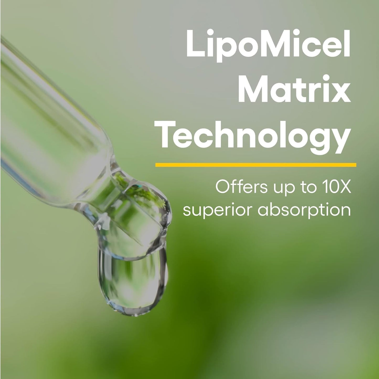 Natural Factors Quercetin LipoMicel Matrix for Superior Absorption, 120 Softgels