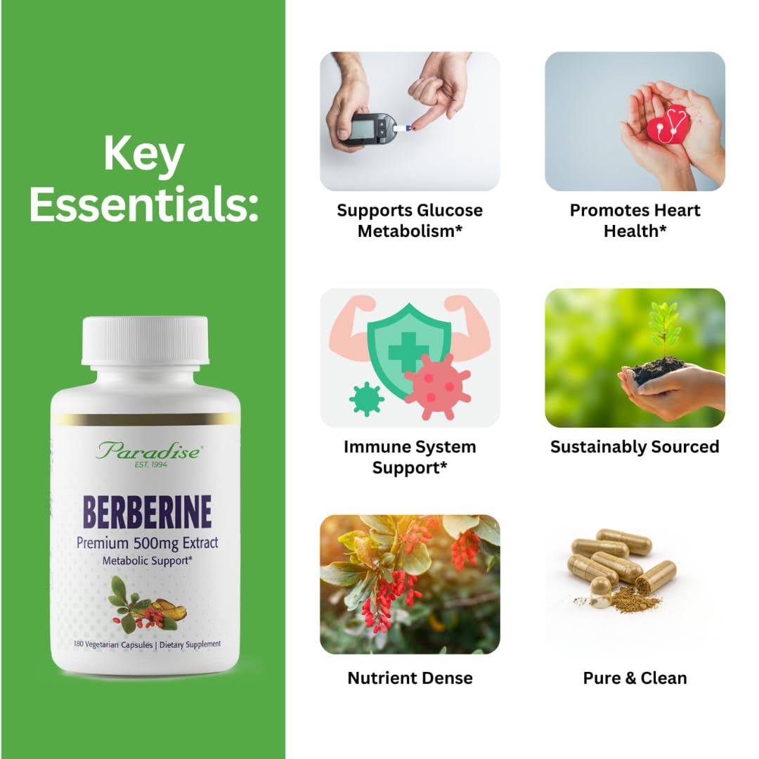 Paradise Herbs, Berberine Extract, 500 mg, Pure & Potent Berberine Supplement, Vegan, Non GMO, Gluten Free, 180