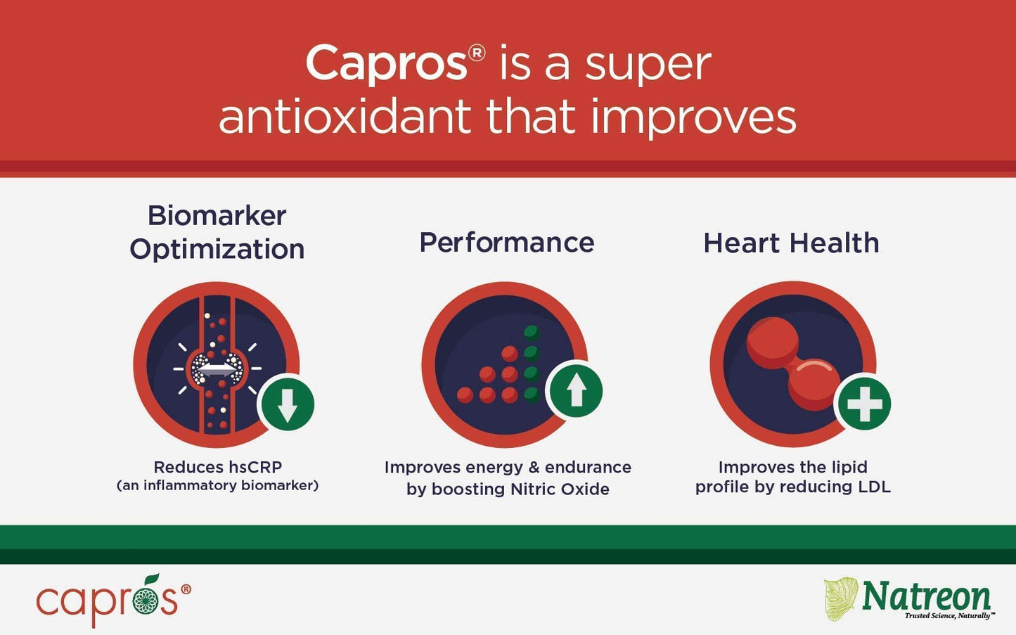 NatureCity True-Capros Amla Fruit Extract Supplement Polyphenol Antioxidant Power Supports Cardiovascular Heart Health (30 Veggie Capsules) Non-GMO Vegan Friendly and Soy Free