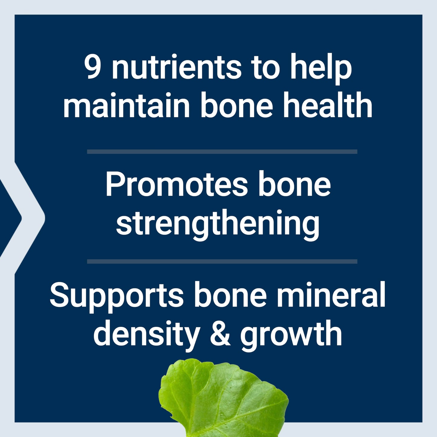 Life Extension Dr. Strum's Intensive Bone Formula, Cissus quadrangularis, Calcium, Vitamin D3, K2, Magnesium, zinc, Potassium, Boron, Bone Health Support Formula, Gluten Free, Non-GMO, 300 Capsules