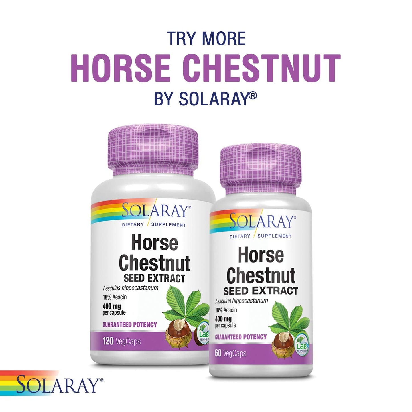Pre-Order | Arrives in 5–10 Days – SOLARAY CircuLegs with Horse Chestnut Extract, Gotu Kola, Butcher's Broom, and More, Circulation and Vein Support for Healthy Legs, 60-Day Guarantee, Lab Verified (30 Serv, 60 VegCaps)