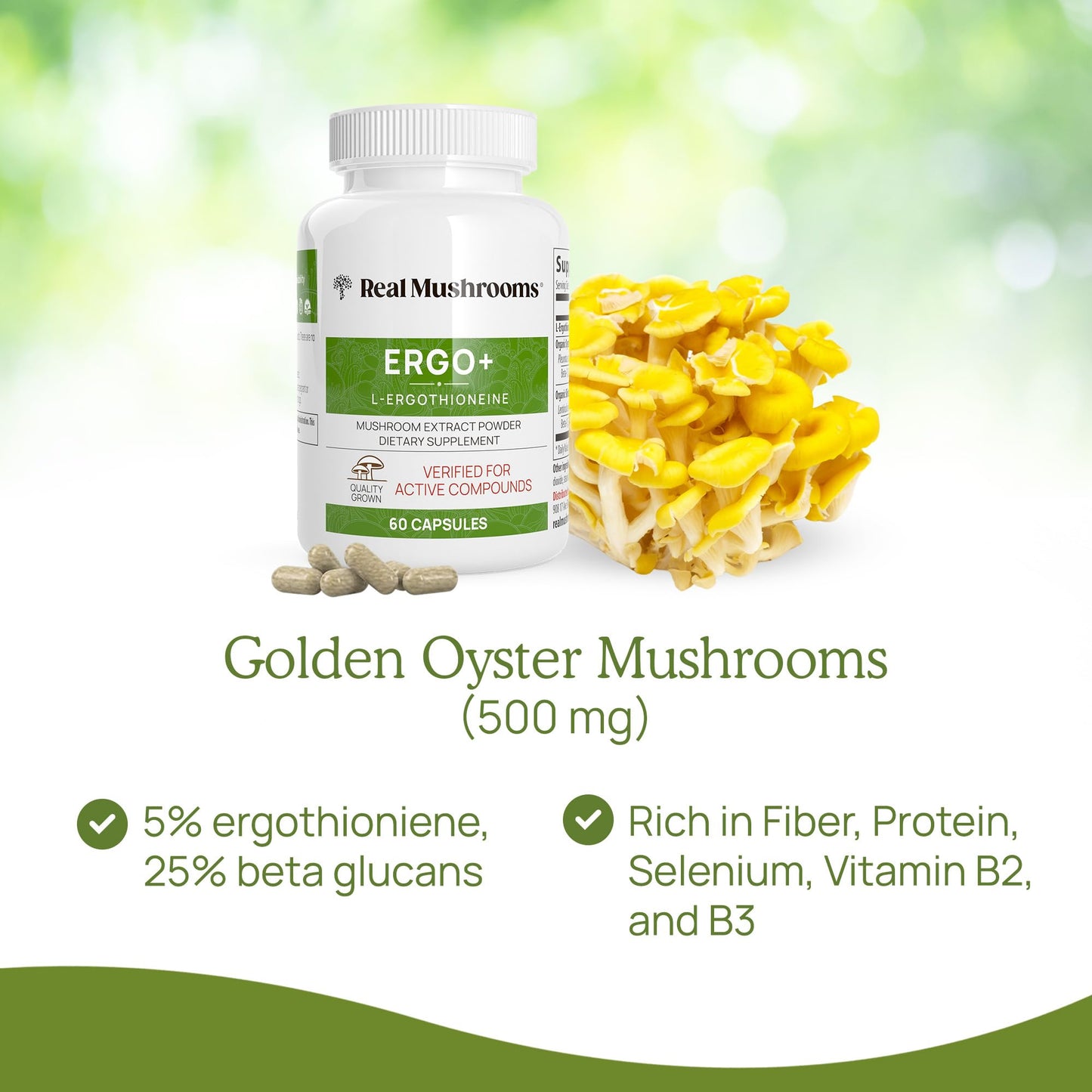 Real Mushrooms Ergothioneine Supplement – Golden Oyster Mushroom with Beta-Glucans – L-Ergothienine Extract Poweder – Organic, Vegan, Non-GMO, No Fillers – 60 Capsules Mushroom Supplement for Humans