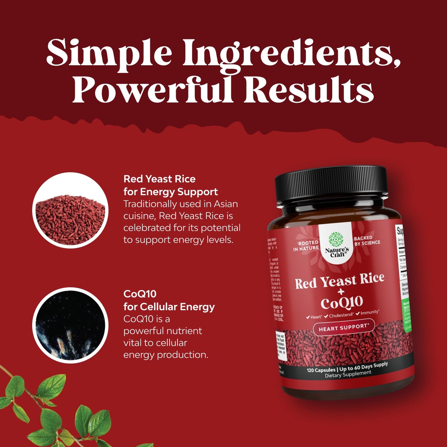 Natures Craft Red Yeast Rice with CoQ10 Supplement - Advanced Healthy Heart Red Rice Yeast for Healthy Cholesterol Levels - Extra Strength Capsule 1200 mg - Vegan & Non-GMO - 120 Count