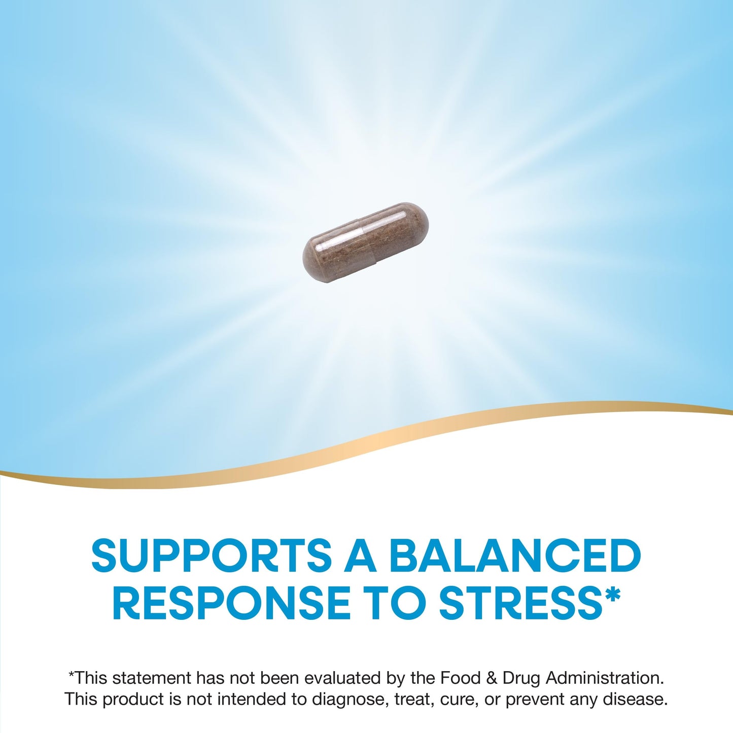 Nature's Way Ashwagandha, Reduces Stress*, Premium Extract, Adaptogenic*, Non-GMO Project Verified, Vegan, 60 Capsules (Packaging May Vary)