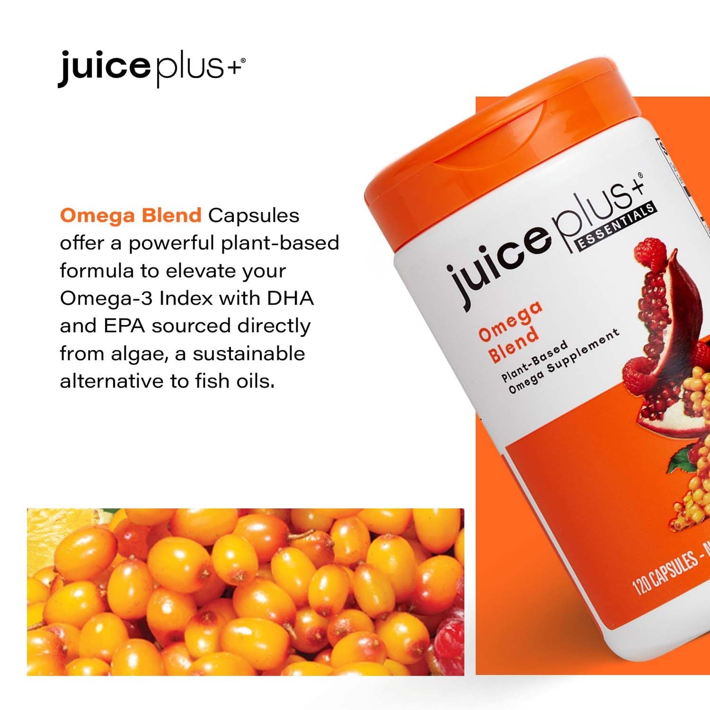 Juice Plus+ Omega Blend - Vegan, Fish-Less, No Aftertaste - Omega 3, 5, 6, 7 & 9 Fatty Acids from Algae & Seeds - DHA, ALA & EPA for Brain & Vision - 120 Capsules