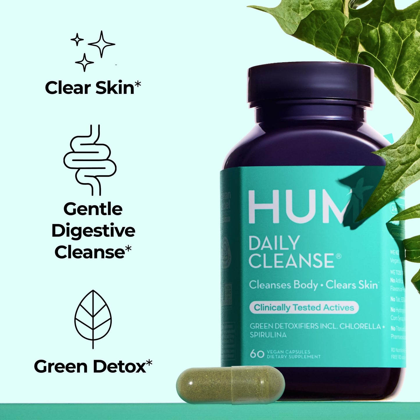HUM Daily Cleanse Acne Supplement - Gut Cleanse Detox for Clear Skin with Organic Algae, Detoxifying Herbs, Zinc & Spirulina | Clear Skin Supplement (60 Capsules)