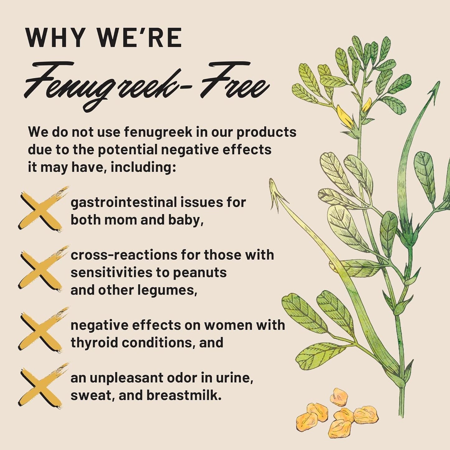 Legendairy Milk Liquid Gold + Brewer's Yeast, Breastfeeding Supplements for Milk Supply Increase - Lactation Support for Breast Milk Production - Fenugreek-Free, Non-GMO,