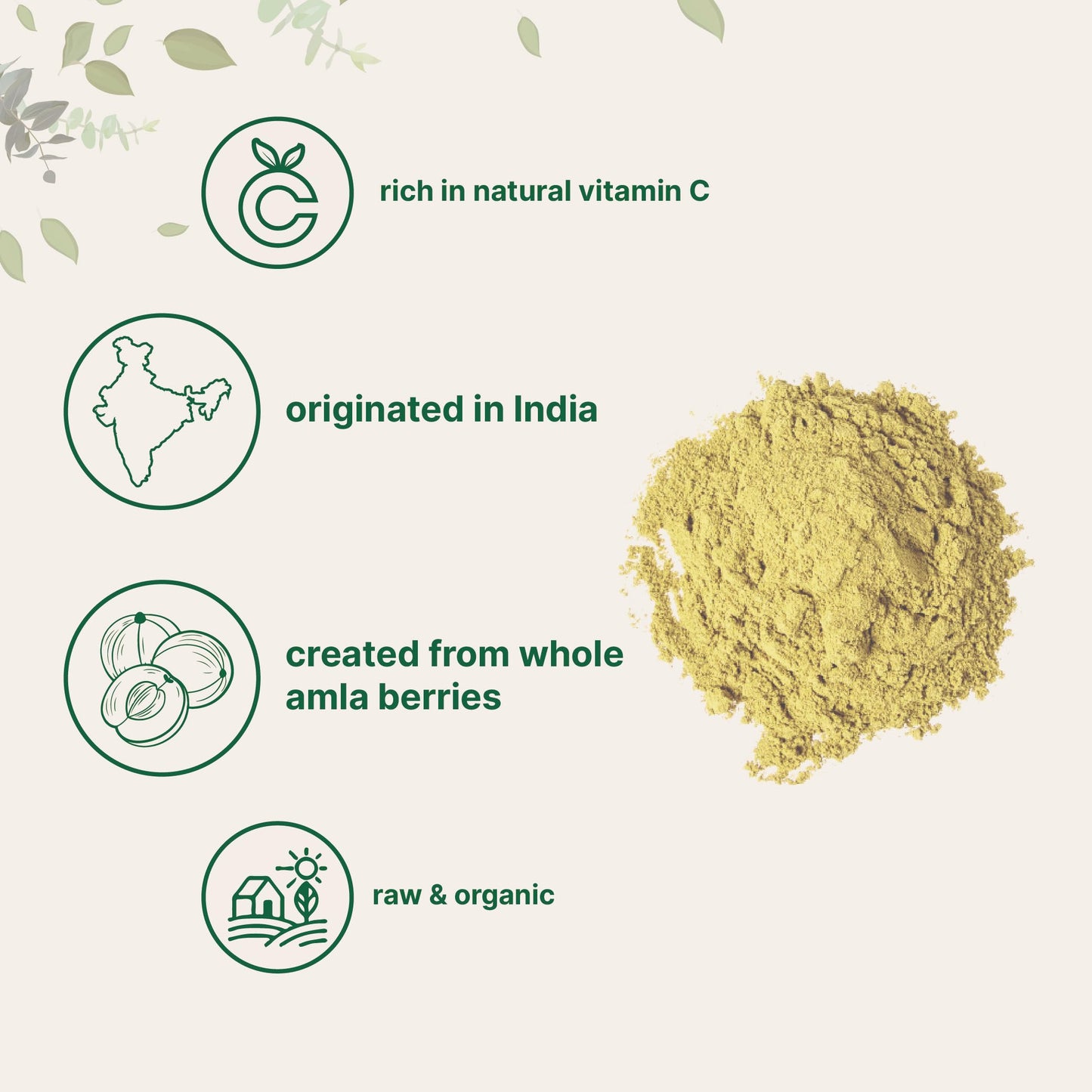 Micro Ingredients Organic Amla Powder (Amalaki) | 32oz, India Origin Gooseberry Powder | Rich in Vitamin C, Antioxidants, Supports Immune, Digestive & Skin Health, Non-GMO, Vegan & Keto Friendly