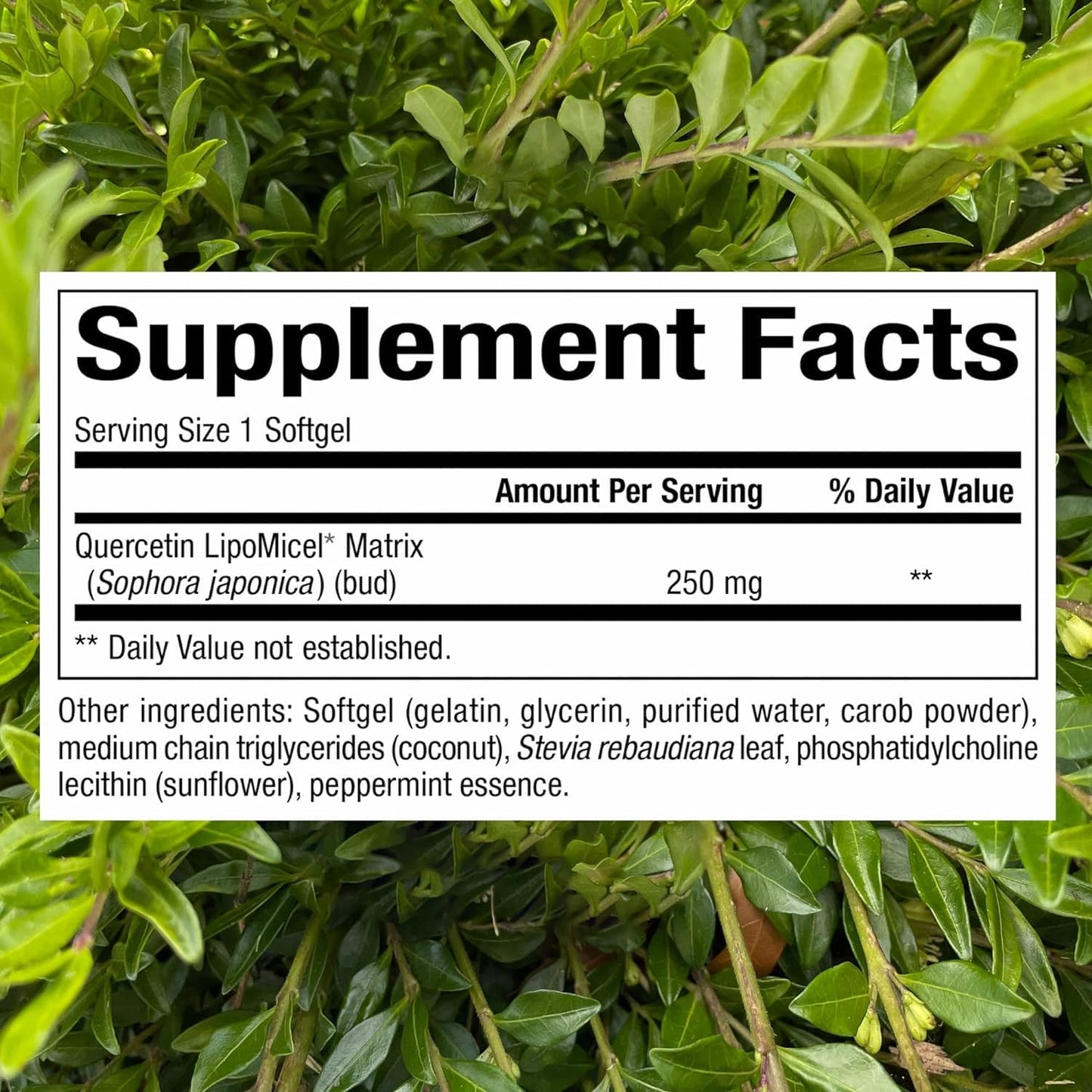 Natural Factors Quercetin LipoMicel Matrix for Superior Absorption, 120 Softgels