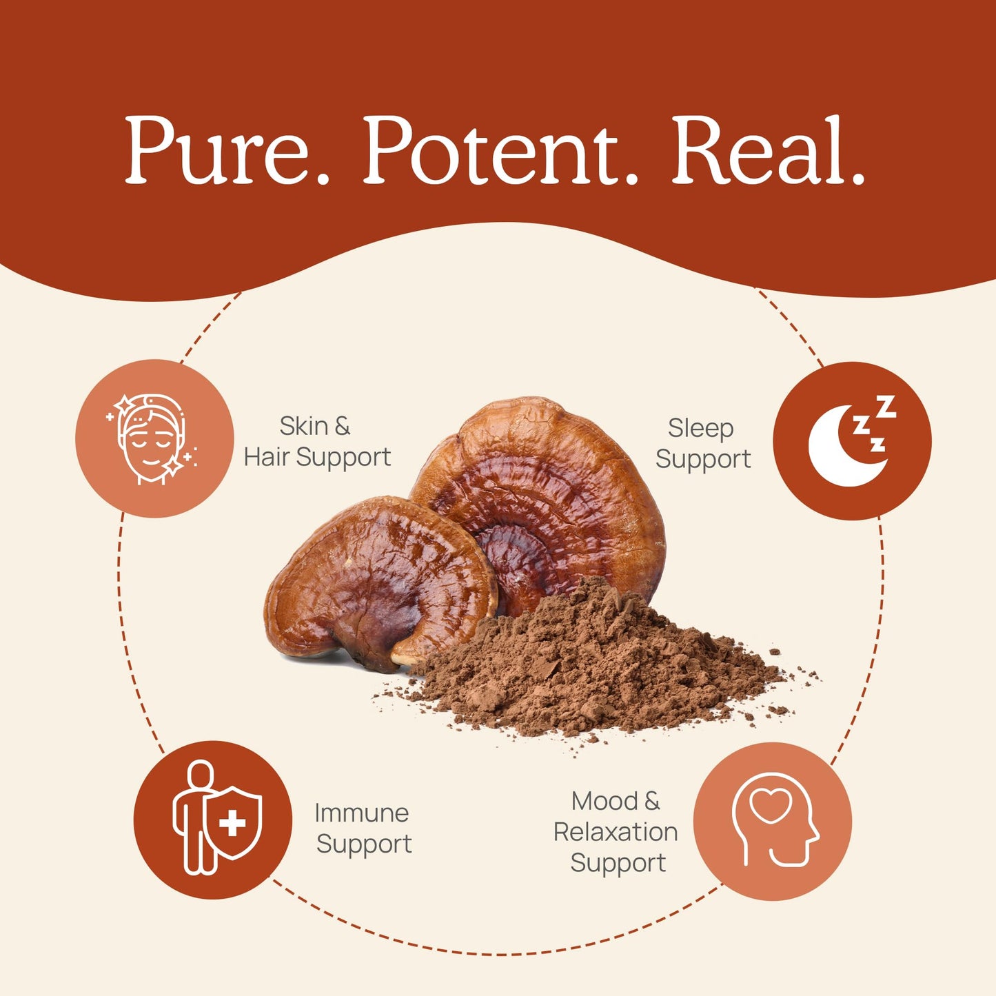 Real Mushrooms Reishi Mushroom Powder - Handpicked Organic Mushroom Extracts - Red Reishi for Tranquil Daily Wellness – Vegan, Non-GMO, Beta Glucan, Mushrooms Supplement Organic – 45 Servings