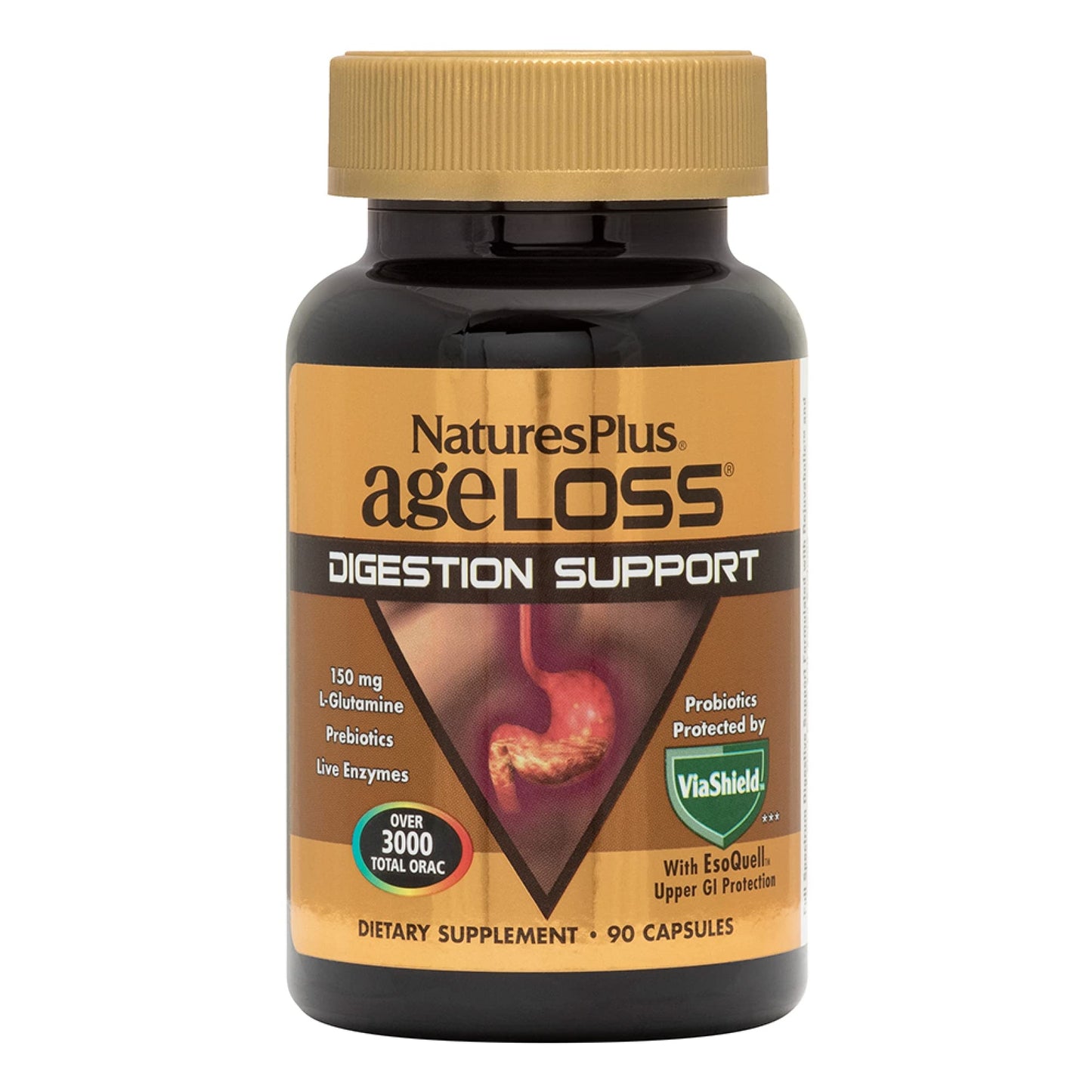Natures Plus AgeLoss Digestion Support - 90 Capsules - Prebiotics, Live Enzymes & 150 mg L-Glutamine - Gluten Free - 30 Servings