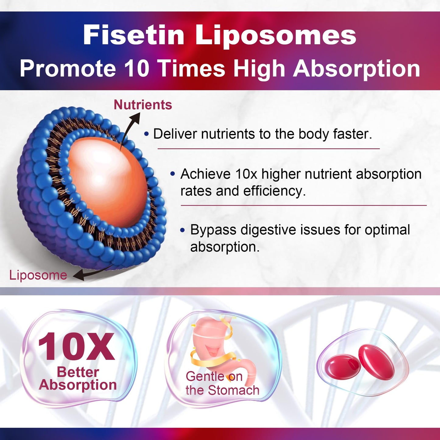 LILICARE Fisetin Supplement - Liposomal Super Absorption 98% Pure 1200mg with Quercetin, Resveratrol, Green Tea Extract for Healthy Aging & Longevity, Skin Health, Brain & Antioxidant - 60 Softgels