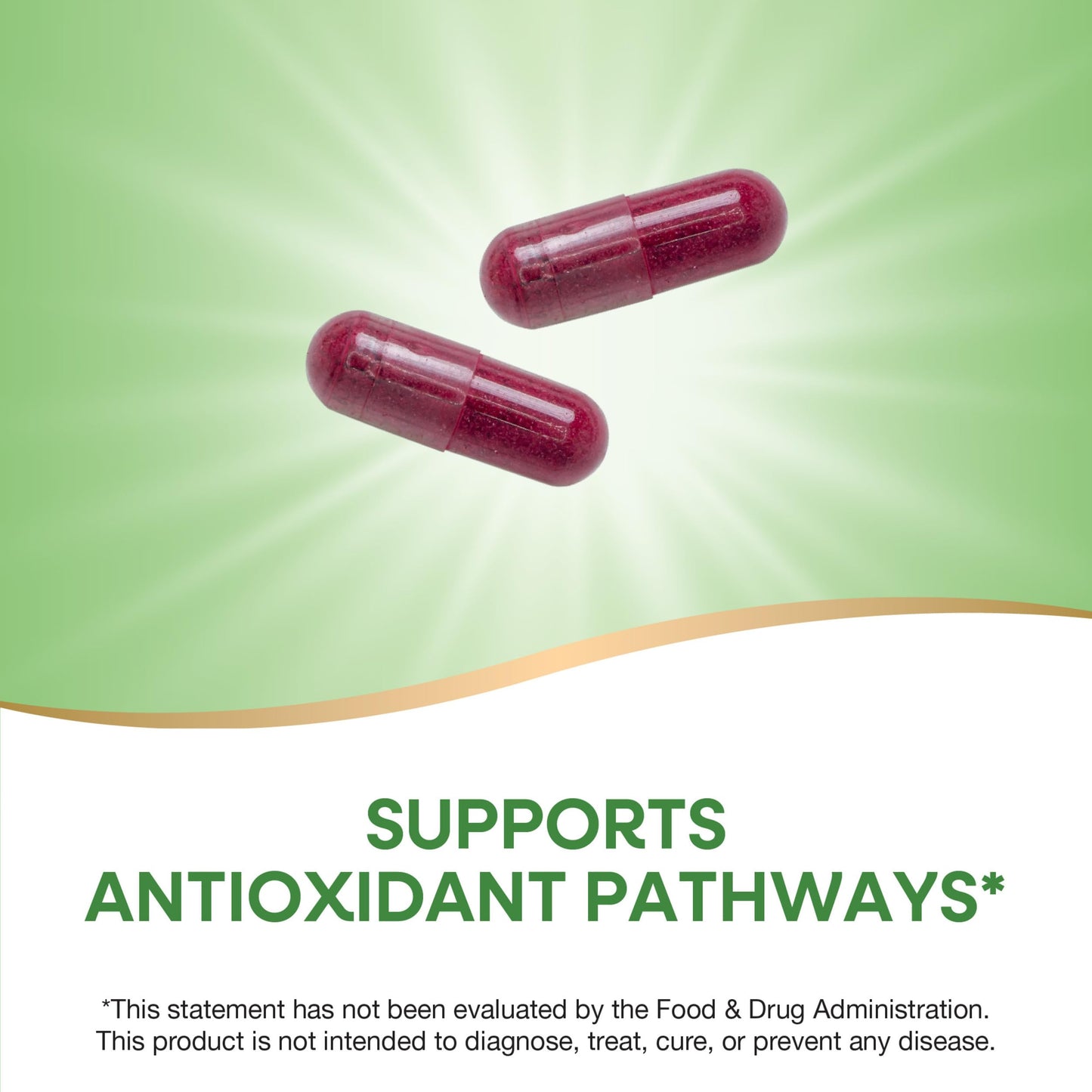 Nature's Way Beet Root, Supports Antioxidant Pathways*, Helps Neutralize Free Radicals*, 1,000 mg per 2-Capsule Serving, Vegan, 320 Capsules