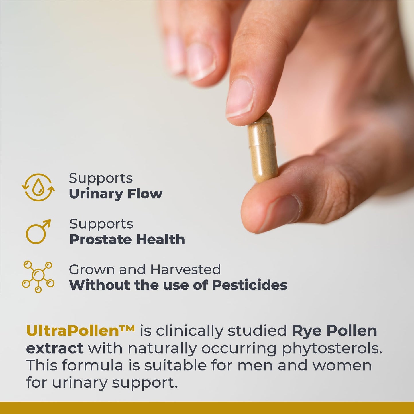 Premier Research Labs UltraPollen - Bee Pollen Supplement, Rye Pollen Extract, Prostate Health, Bee Pollen Extract from Rye Flower with Amino Acids, Supplement for Men & Women- 45 Vegetarian Capsules