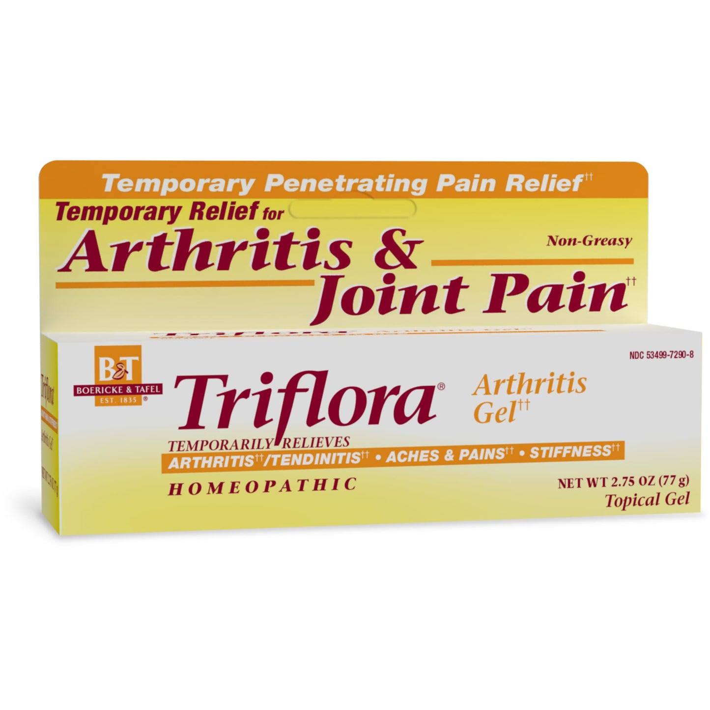 Nature's Way Boericke and Tafel Triflora Arthritis Topical Gel, Relief for Arthritis, Tendinitis, Joint Pain, and Stiffness*, 2.75 Ounce