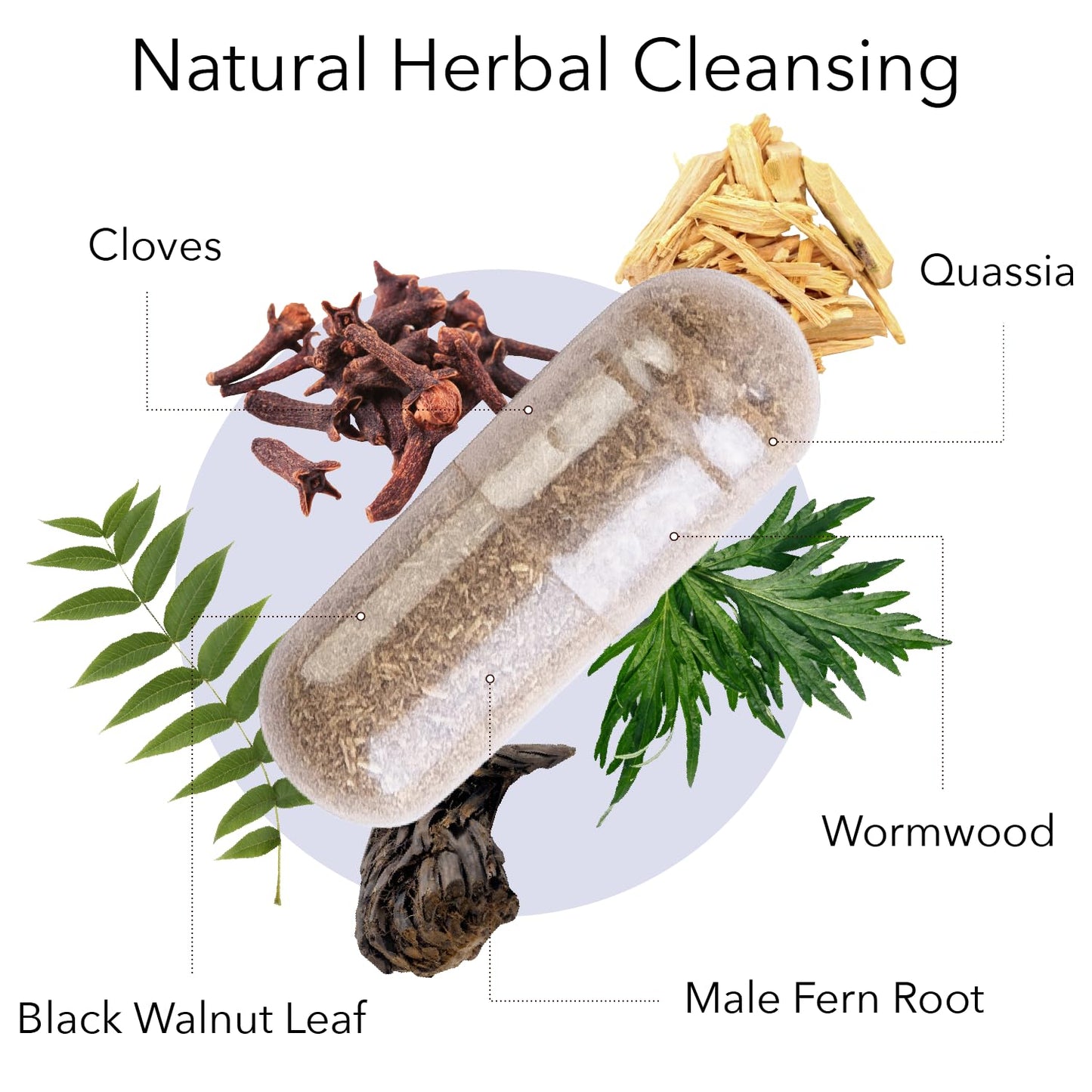 Kroeger Herb Products Wormwood and Chem X Bundle