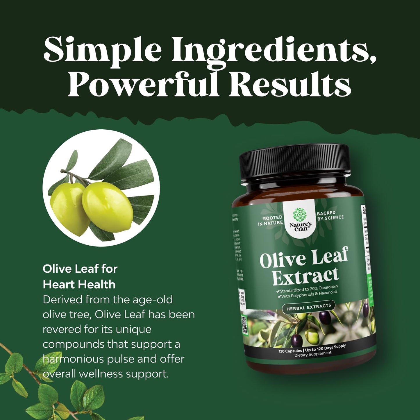 Potent Olive Leaf Extract Capsules - High Strength Antioxidant Supplement with Pure Olive Leaf with 20% Oleuropein - Herbal Heart Health Supplement - Vegan Non-GMO & Gluten Free (4 Month Supply)