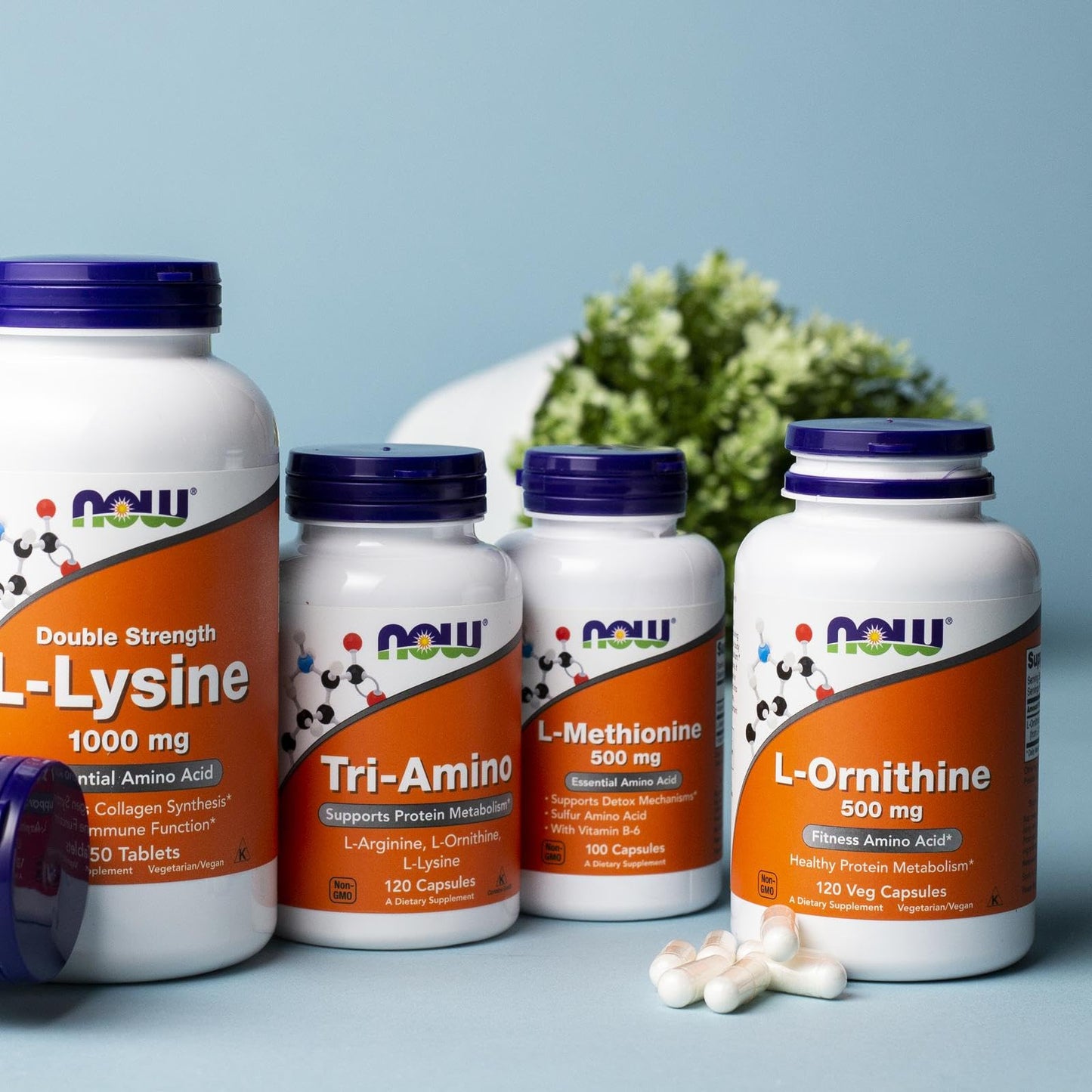 Pre-Order | Arrives in 5–10 Days – NOW Foods Supplements, L-Ornithine (L-Ornithine Hydrochloride) 500 mg, Amino Acid, 120 Veg Capsules