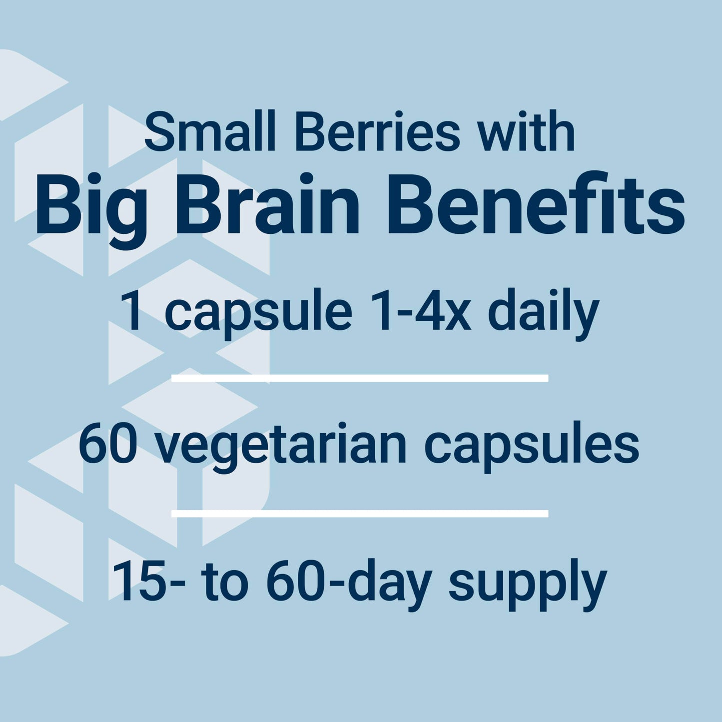 Life Extension Blueberry Extract Capsules - Whole Fruit Wild Blueberry Extract Supplement Pills- For Brain Health Support - Non-GMO, Gluten-Free ,Vegetarian - 60 Capsules