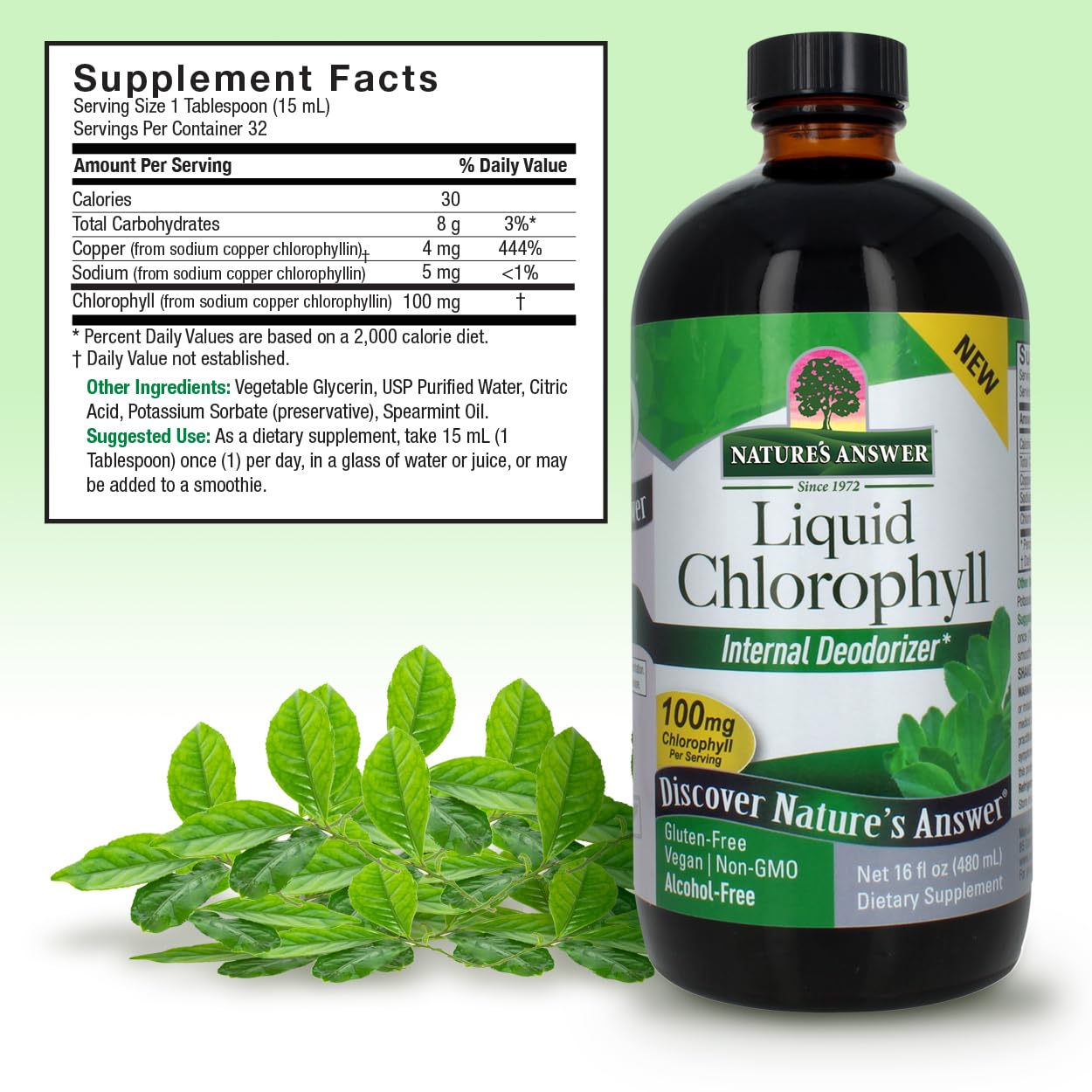 Nature's Answer – Liquid Chlorophyll Spearmint 16oz, Internal Deodorant*, Skin and Hair Support* Supports Healthy Immune Function, Detoxification 16oz, 32 Servings | Gluten Free | Non-GMO