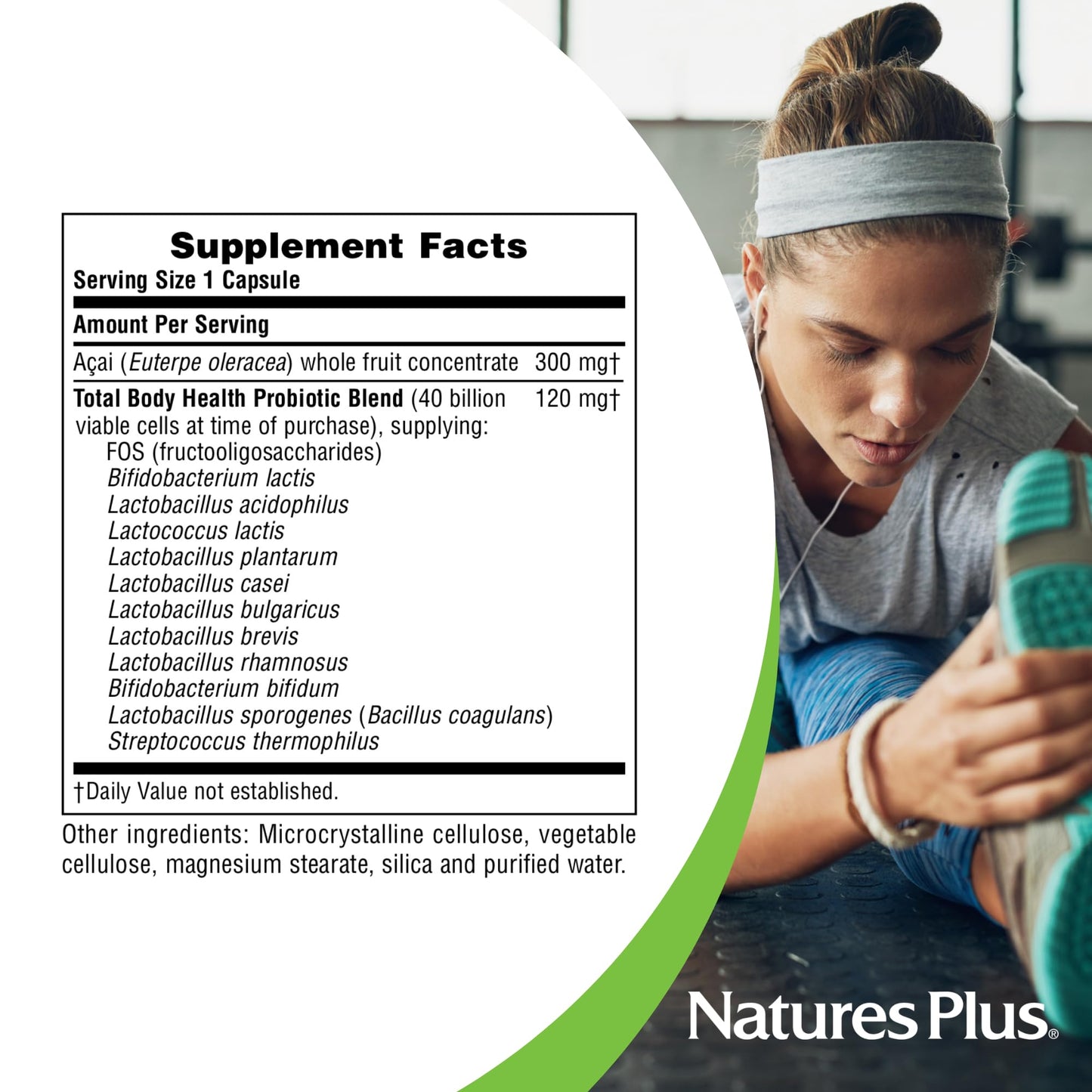 Natures Plus Ultra Probiotics - Maximum Strength Digestive Supplement - Total Body & Gut Health - Intestinal & Colonic Probiotics & Prebiotic Acai - 60 Vegetarian Capsules (60 Servings)
