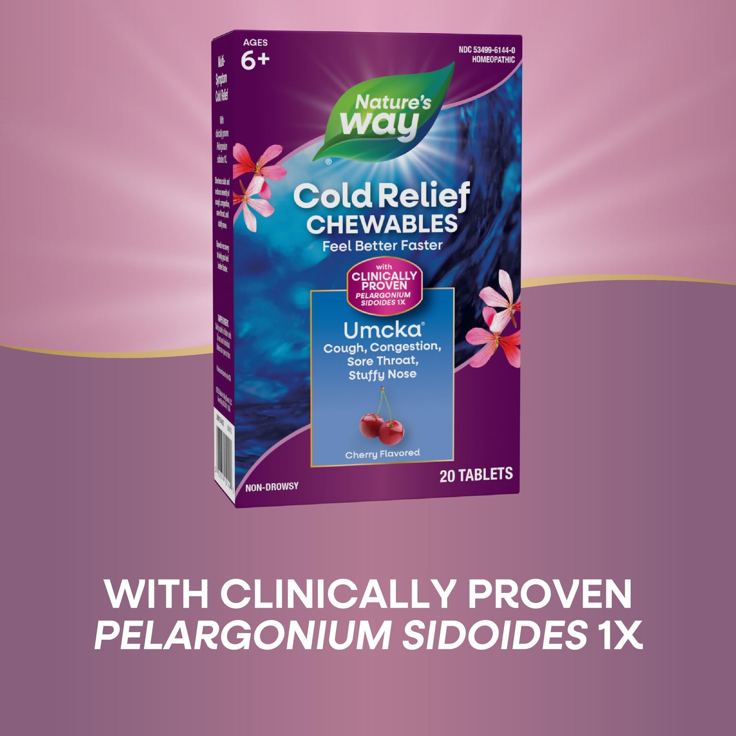 Nature's Way Cold Relief, Umcka, Shortens Duration and Reduces Severity, Multi-Symptom Cold Relief, Homeopathic, Phenylephrine Free, Cherry Flavored, 20 Chewable Tablets