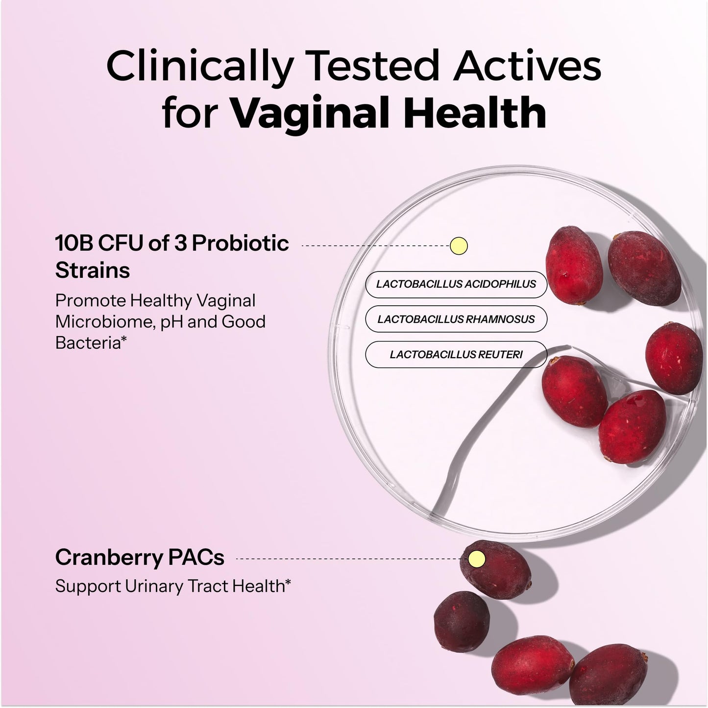 HUM Private Party - Vaginal Probiotics for Women's Health, pH Balance Supplement, and Urinary Tract Support with Cranberry & Lactobacillus Blend | Cranberry Pills, (30 Capsules)