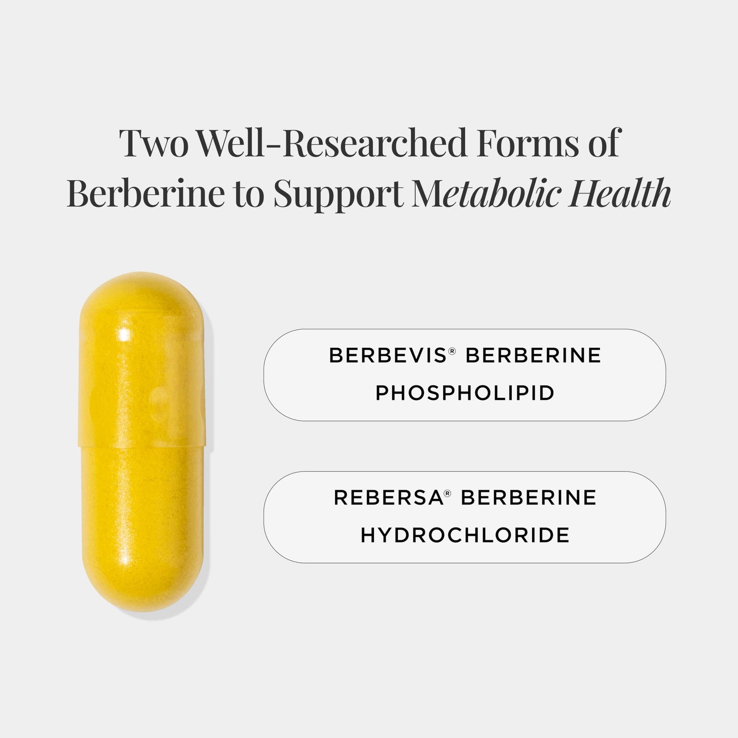 JSHealth Vitamins Berberine+ Formula — Berberine Supplement for Metabolic Health — Vegan, Gluten-Free & Non-GMO. (60 Tablets)