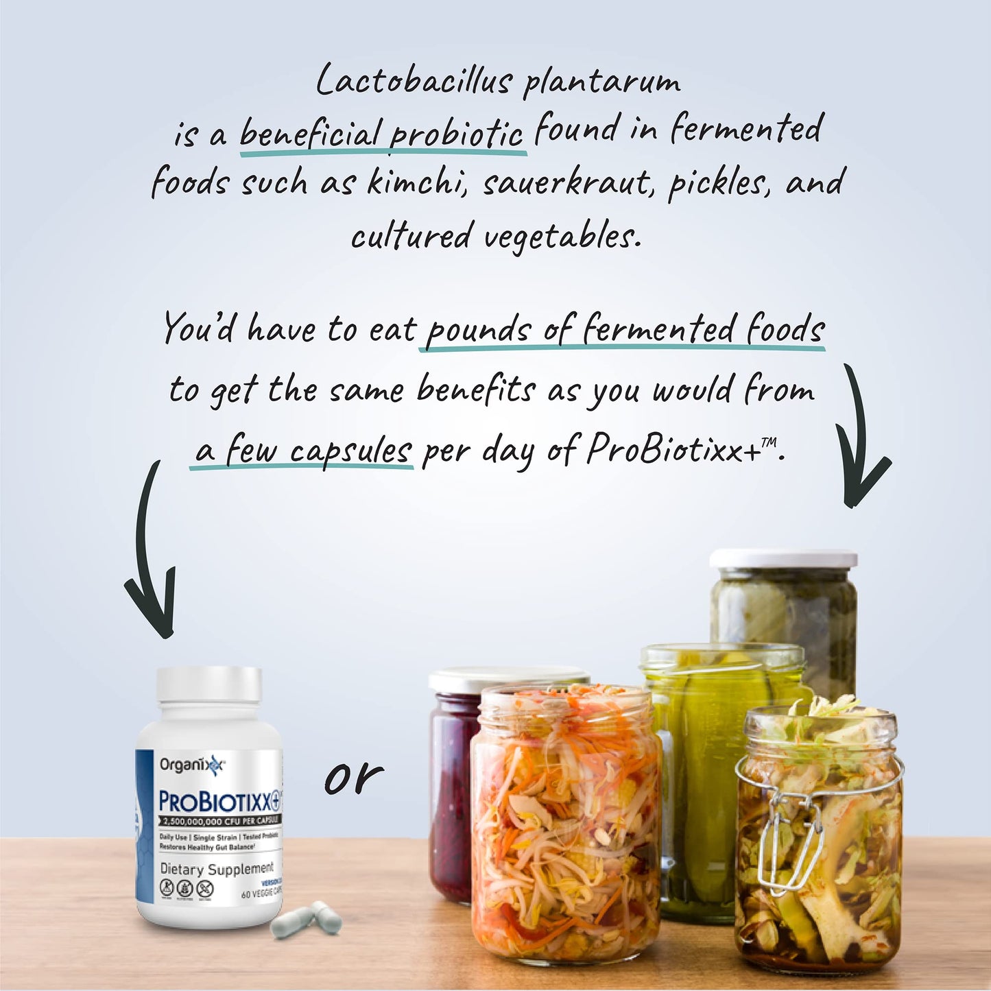 Organixx ProBiotixx+ Probiotic Supplement, Daily Probiotics for Women & Men For Digestive Health Gut Health, Immune Support, 2.5 Billion CFU, Gluten Free, Non GMO, Shelf Stable, 60 Vegetarian Capsules