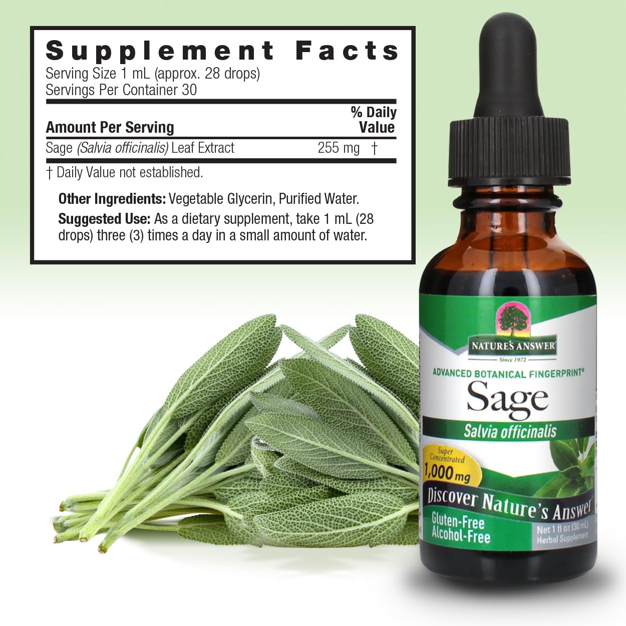 Nature's Answer Alcohol Free Sage Leaf Supplement 1 Fluid Ounce Gluten Free | Digestive Support | Promotes Mental Function | Benefits Gut Health