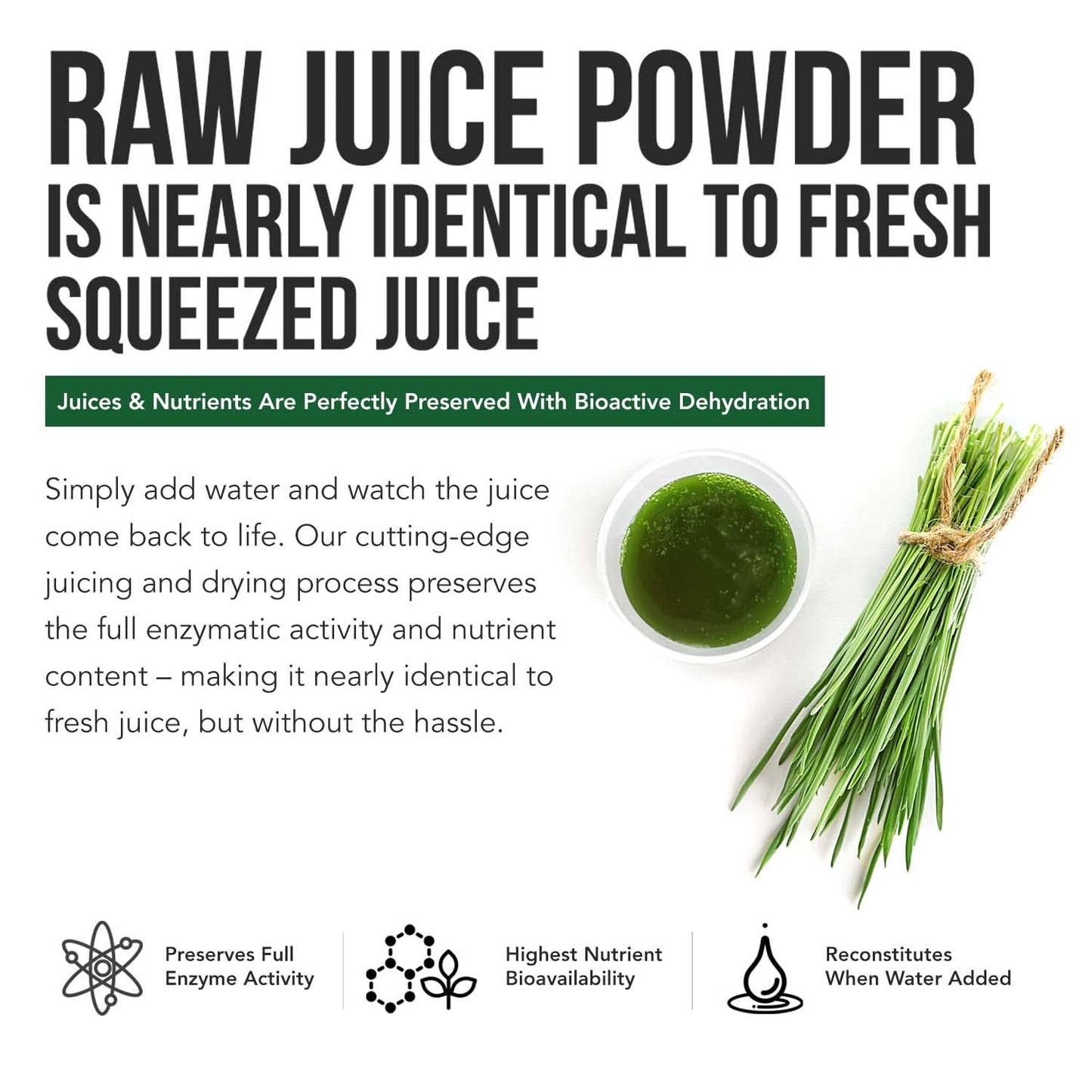 Organic Barley Grass Juice Powder - Grown in Volcanic Soil of Utah - Raw & BioActive Form, Cold-Pressed then CO2 Dried – Gluten Free, GMO free, Vegan - Complements Wheatgrass Juice Powder - 5.3 oz
