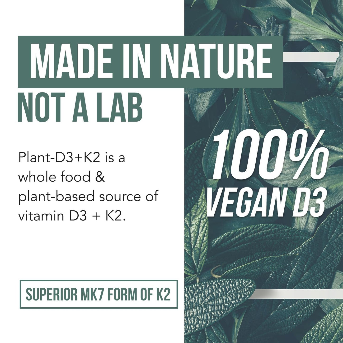 Pre-Order | Arrives in 5–10 Days – Organic Plant D3 + K2 | 5000 iu D3 + 120 mcg K2 as All-Trans MK7 from MenaQ7® - 100% Whole Food, Raw & Vegan | Enhanced Digestion with Prebiotic & Superfood Complex – D3 from Organic Algae (60 Count)