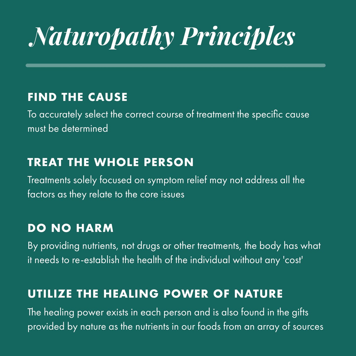 MICHAEL'S Health Naturopathic Programs Water Balance Factors - 120 Vegetarian Tablets - Helps Balance Fluid Levels - with Potassium & Vitamin B6 - Gluten Free, Kosher - 40 Servings